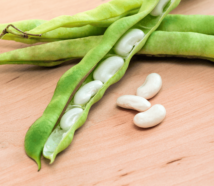 Harmful lima beans for rabbits—do not feed.