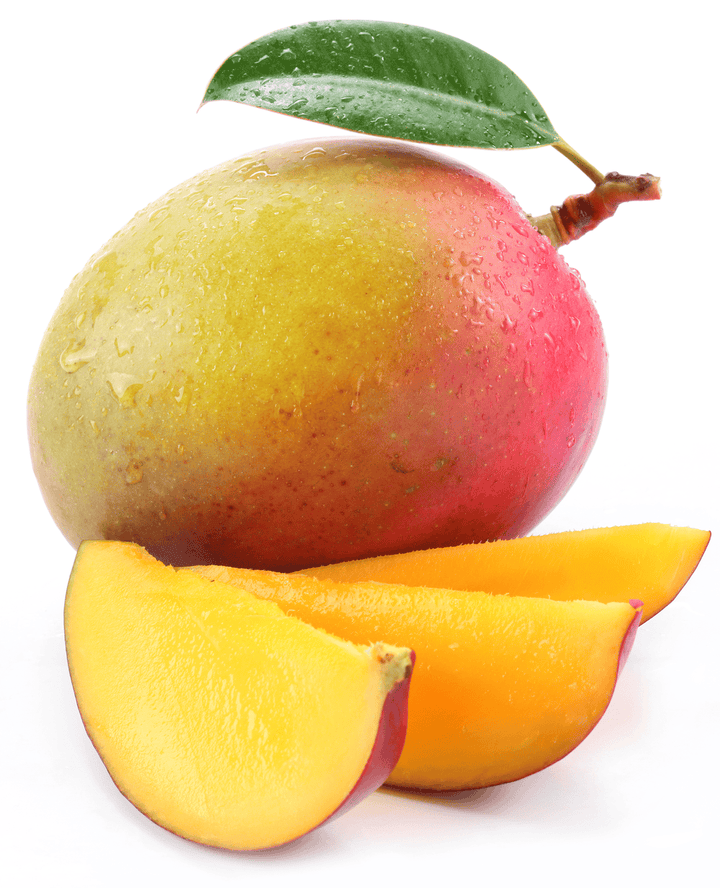 Mango and rabbits do not mix—poison risk.