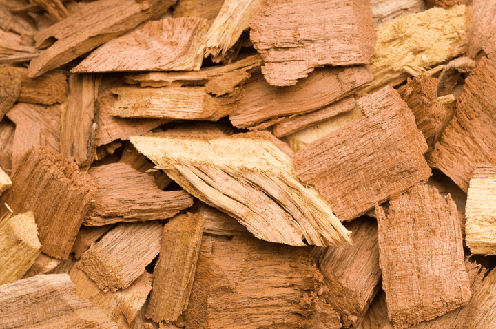 Mesquite and rabbit stomachs do not belong together—never feed.