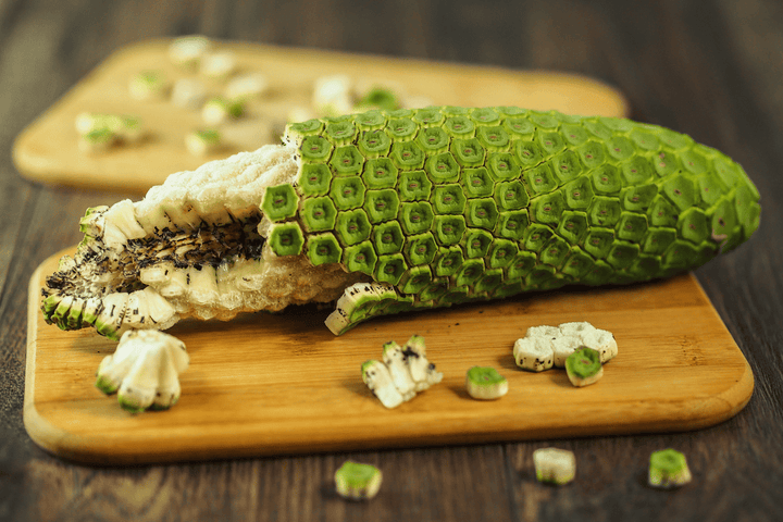 Mexican Breadfruit is toxic to rabbits—keep it away from the pen.