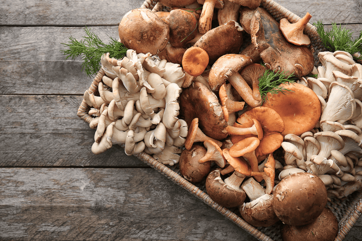 Keep Mushrooms out of rabbit diets—it is poisonous.