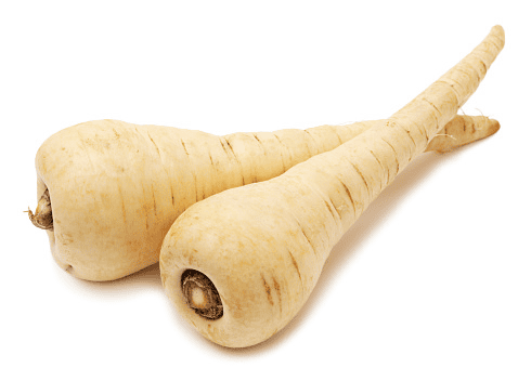 Parsnip vegetable, toxic to pets.