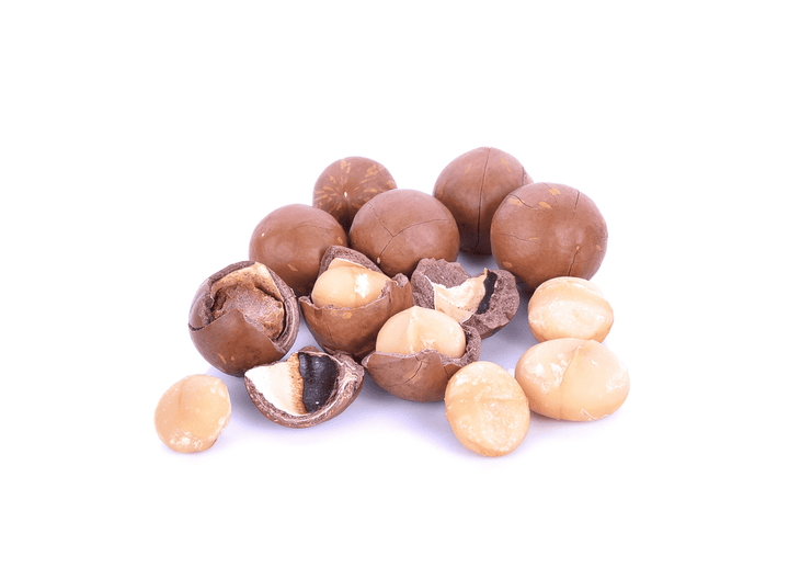 Queensland Nut and rabbits do not mix—poison risk.