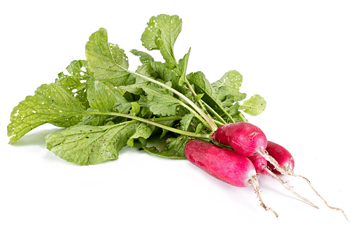 Radish tops: green leaves for pet treats.