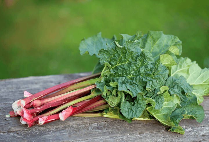 Rhubarb plant: toxic to pets.
