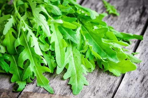 Fresh arugula leaves for rabbit treats