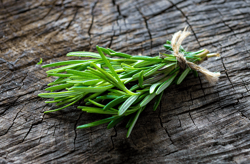 Daily Rosemary for rabbits—small helpings alongside unlimited hay.