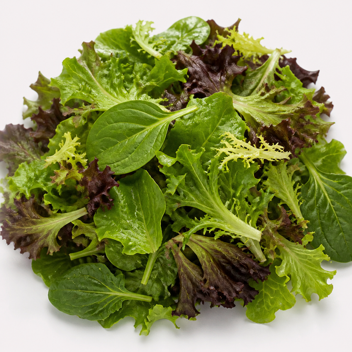 Spring Mix and rabbit stomachs do not belong together—never feed.