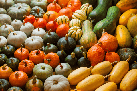 Squash and zucchini for rabbit treats