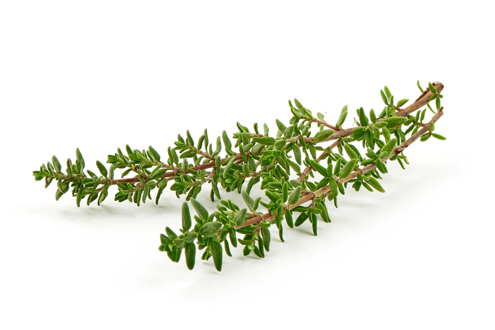 Daily Thyme for rabbits—small helpings alongside unlimited hay.