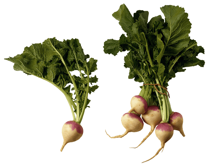 Turnip as a sometimes snack for rabbits; keep servings tiny.