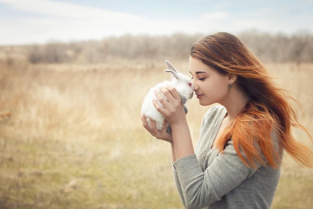 A small white rabbit and their owner nudging noses as a sign of affection.