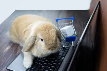 A rabbit shopping for rabbit food online