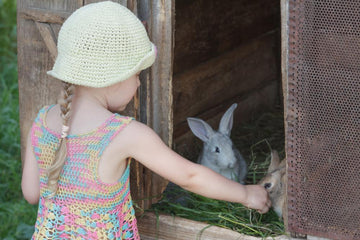 Child gently feeding two rabbits by hand