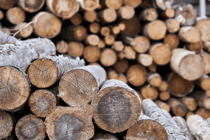 Wood: okay as an occasional bunny snack if you keep it small.