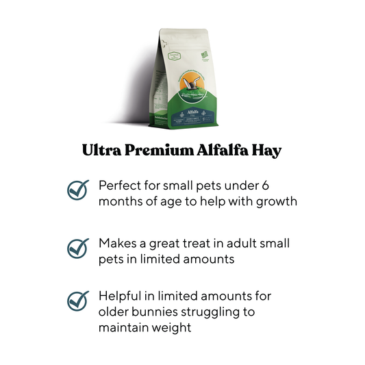 Ultra Premium Alfalfa Hay - Benefits