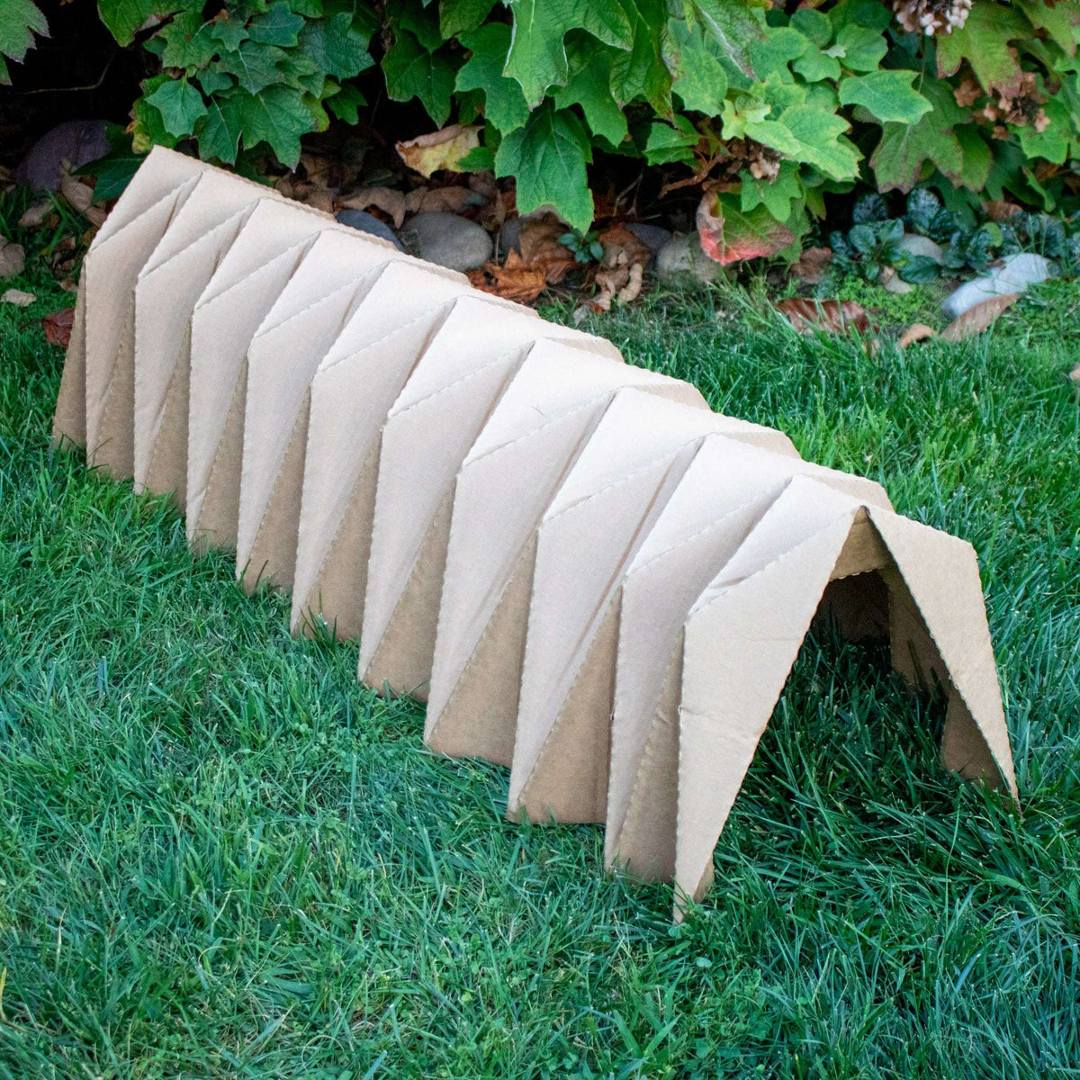 BinkyBunny Tunnel Haven tunnel stretched to a longer layout