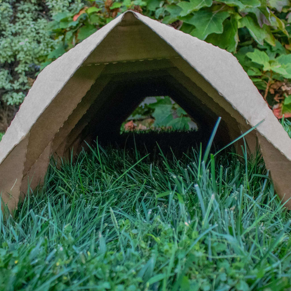 BinkyBunny Tunnel Haven collapsed cardboard tunnel with hook-and-loop ties