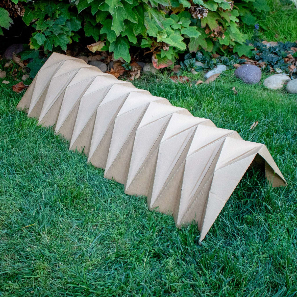 BinkyBunny Tunnel Haven cardboard tunnel entrance