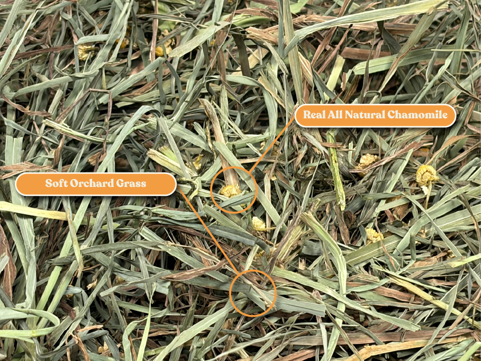 Ultra Premium Chamomile Soft Orchard Grass