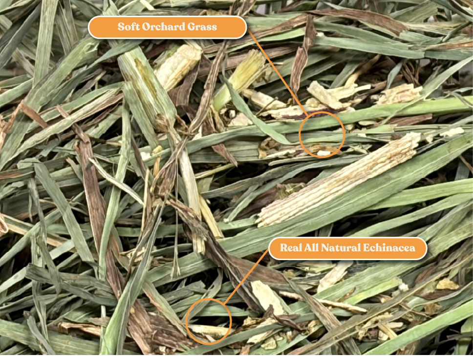 Ultra Premium Echinacea Soft Orchard Grass