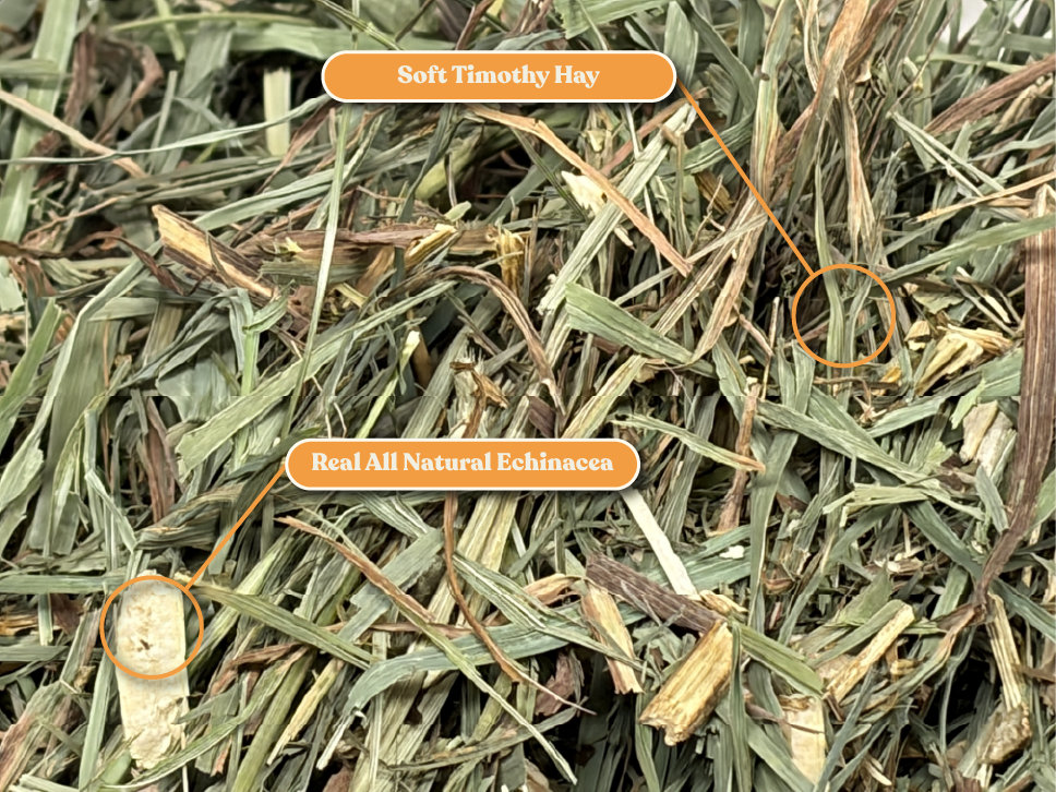 Ultra Premium Echinacea Soft Timothy Hay