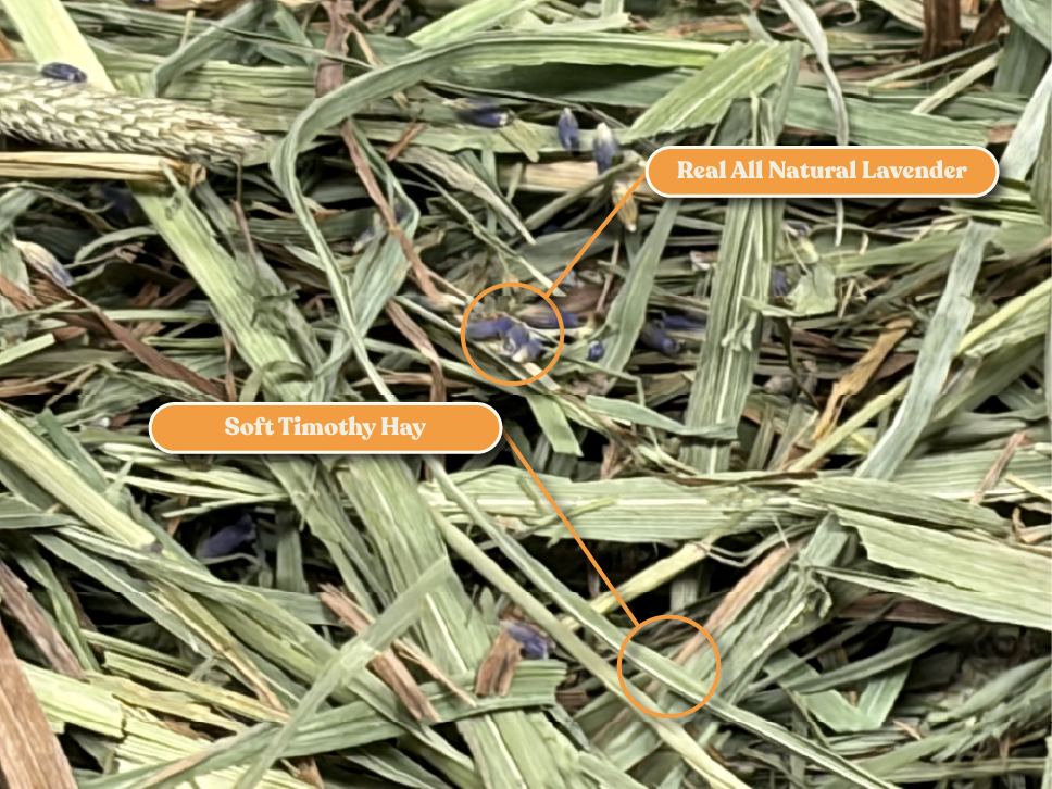Ultra Premium Lavender Soft Timothy Hay