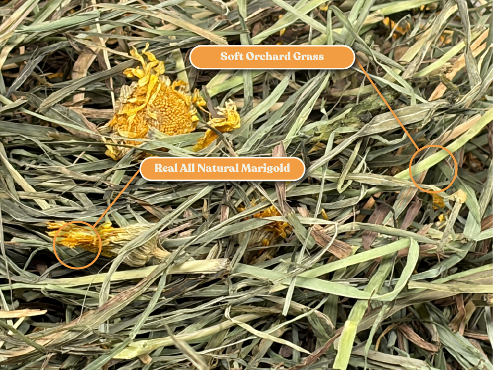 Ultra Premium Marigold Soft Orchard Grass