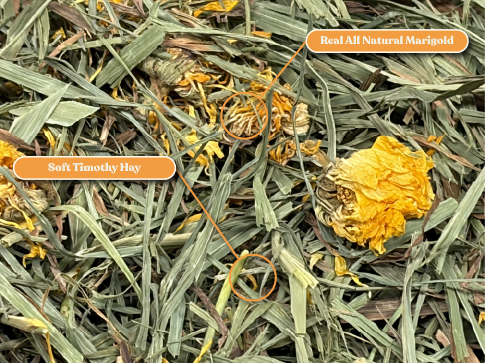 Ultra Premium Marigold Soft Timothy Hay