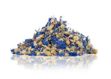 The Bunny Bum Cornflower