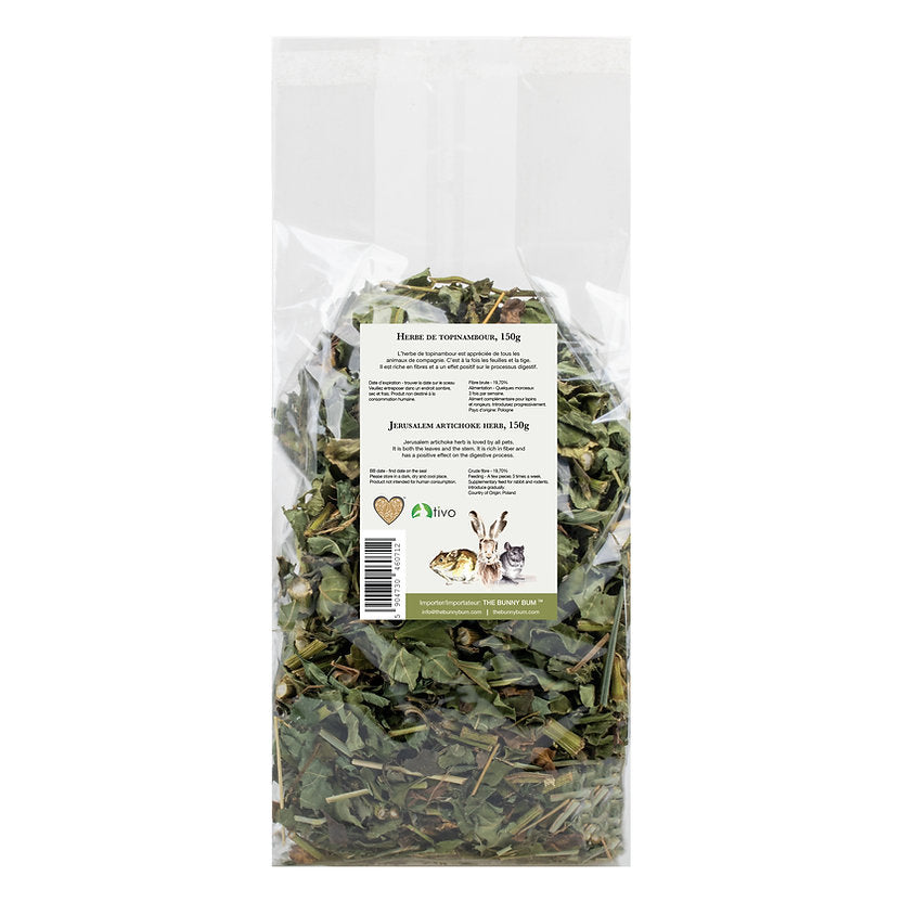 The Bunny Bum Jerusalem Artichoke Herb