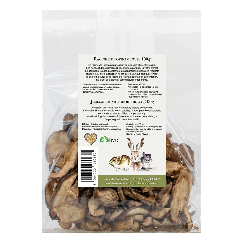 The Bunny Bum Jerusalem Artichoke Root