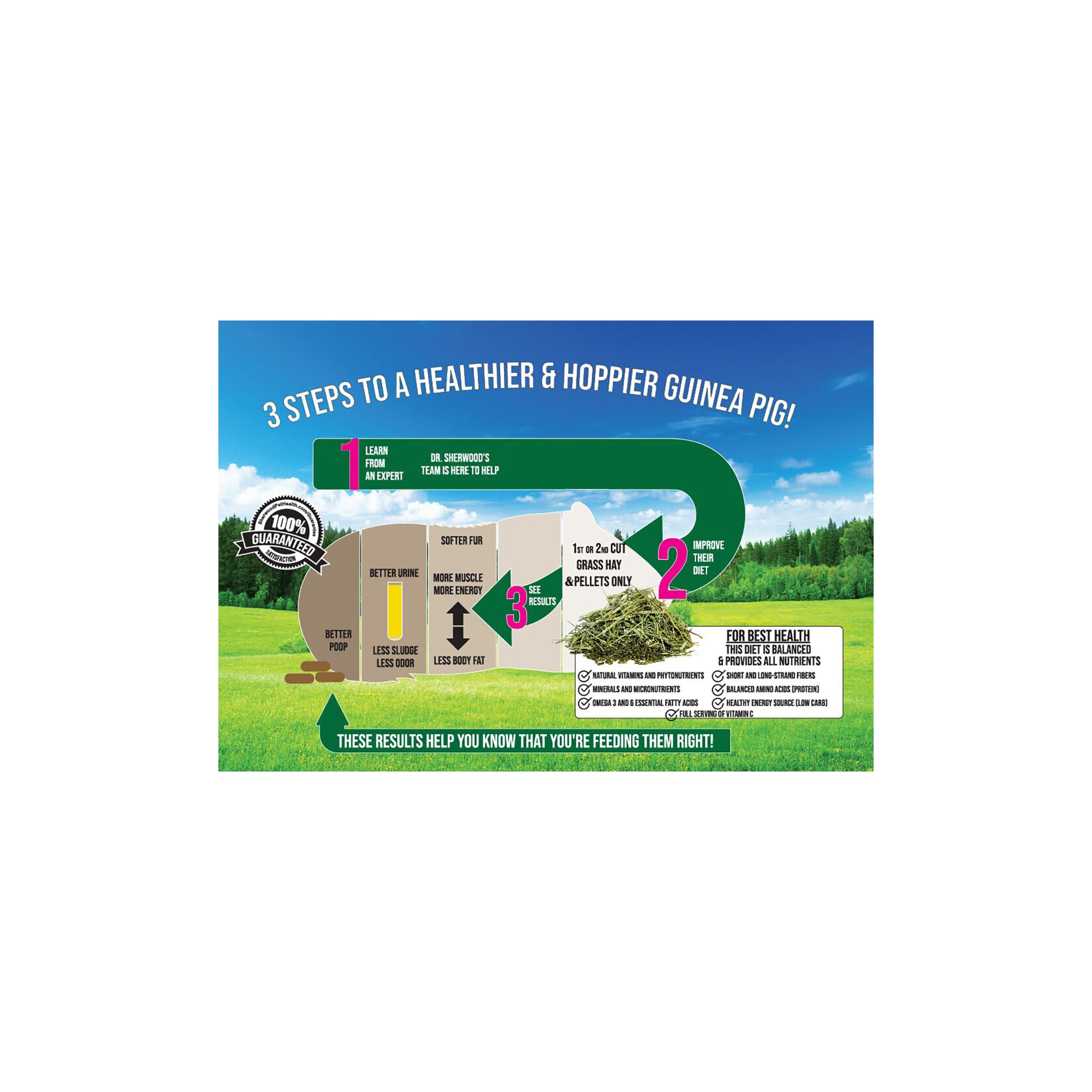 Sherwood - Adult Guinea Pig Food - Measured Timothy Pellet