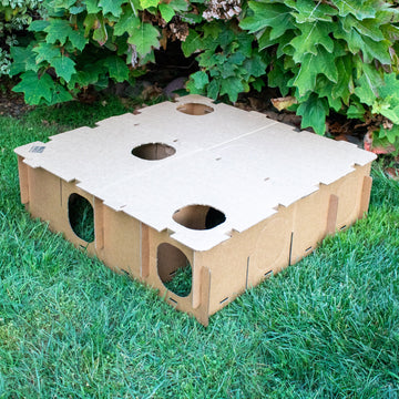 Binky Bunny Maze Haven