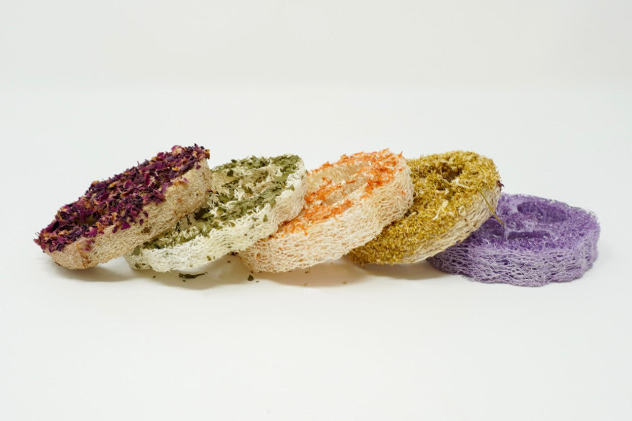 Row of assorted loofah chews showing thickness and texture