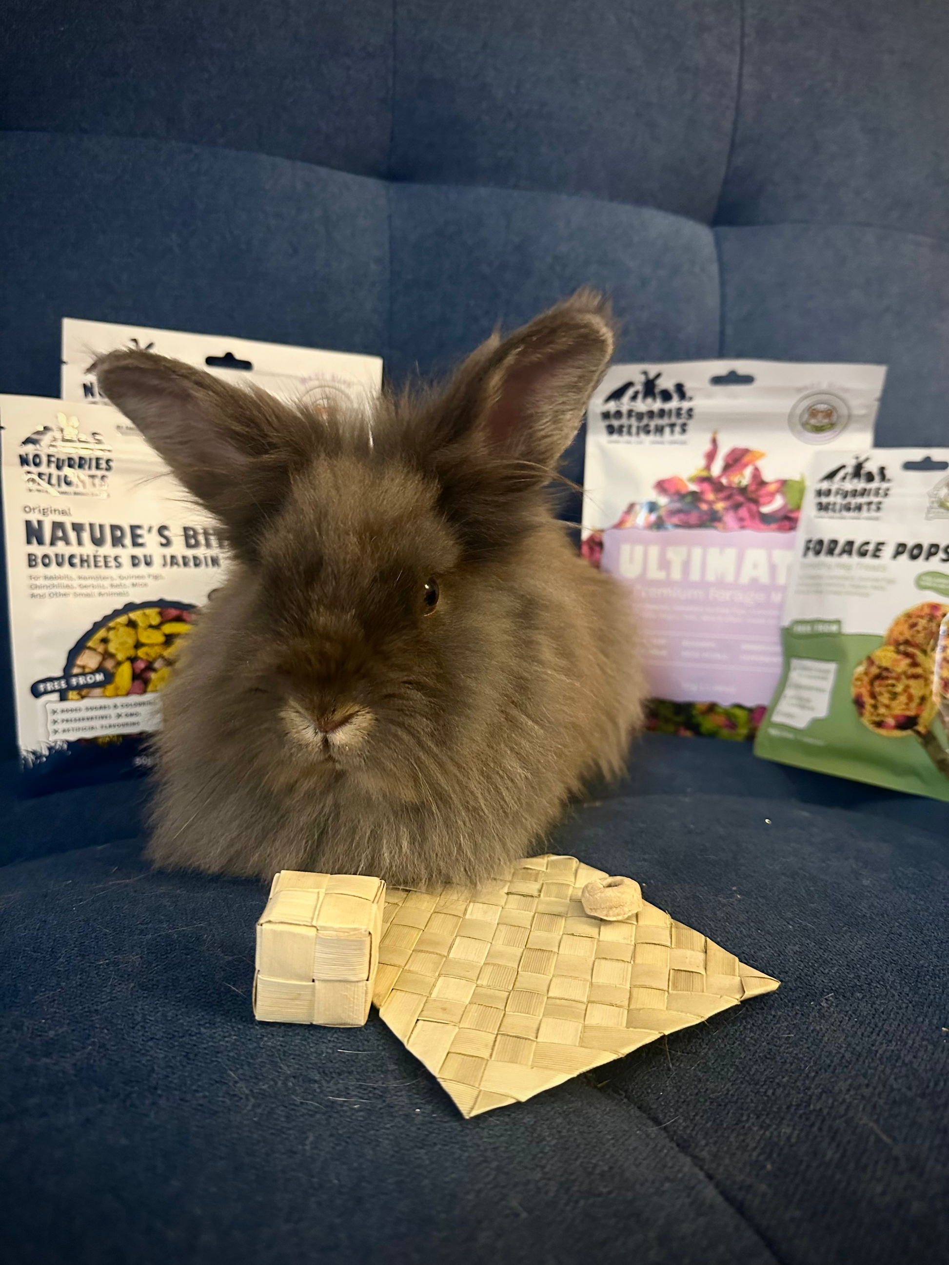 everybunnycounts.heic