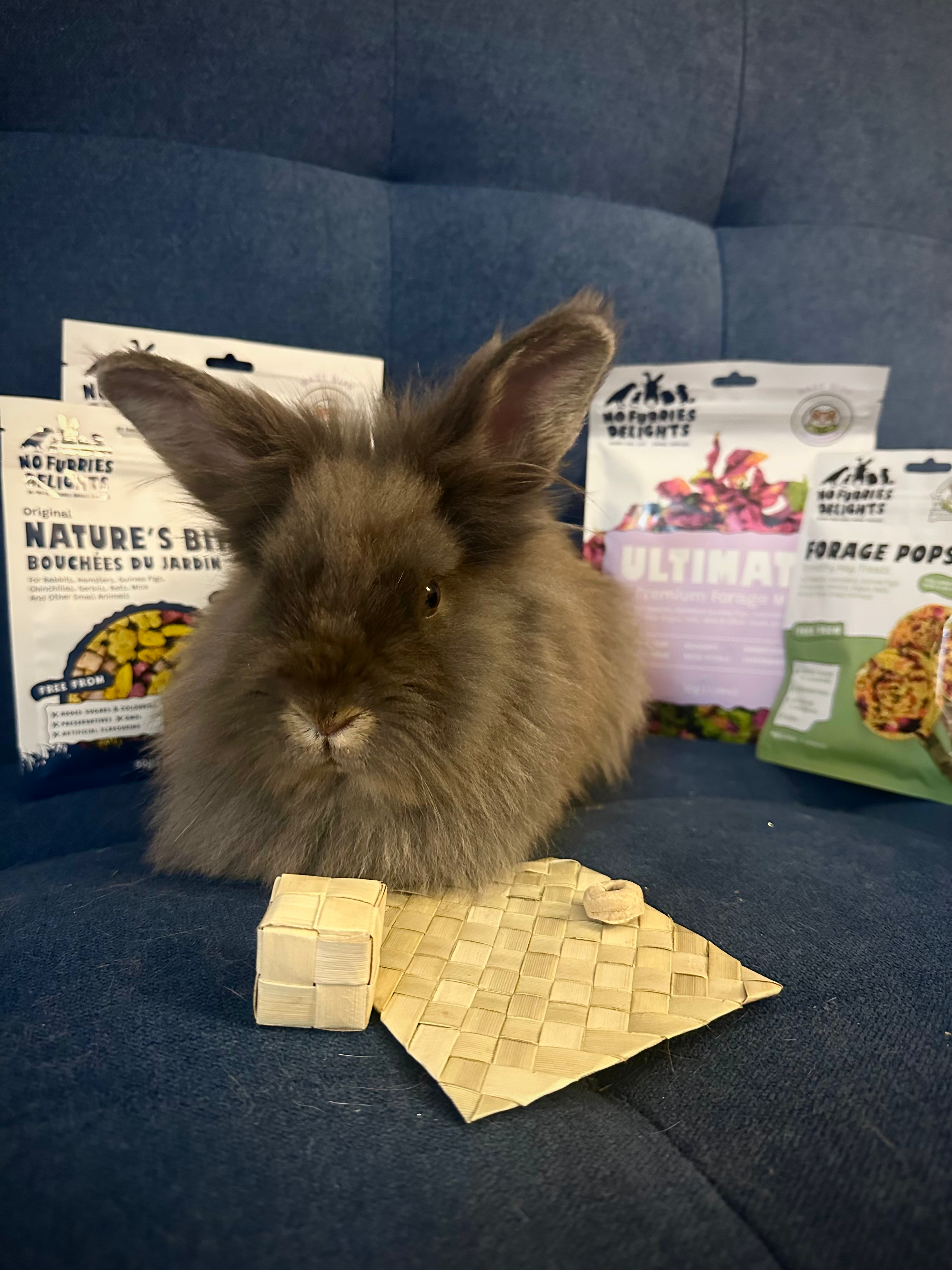 everybunnycounts.heic