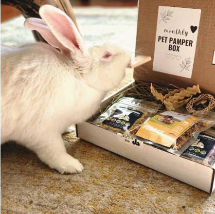 Ava bun _essanessy.png