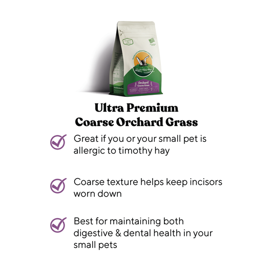 Ultra Premium Coarse Orchard Grass - Benefits