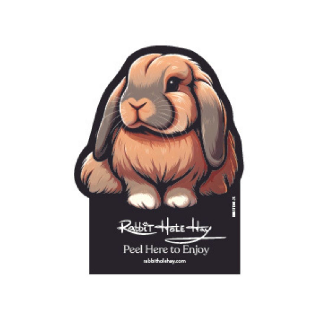 Lop-Eared Charmer Sticker