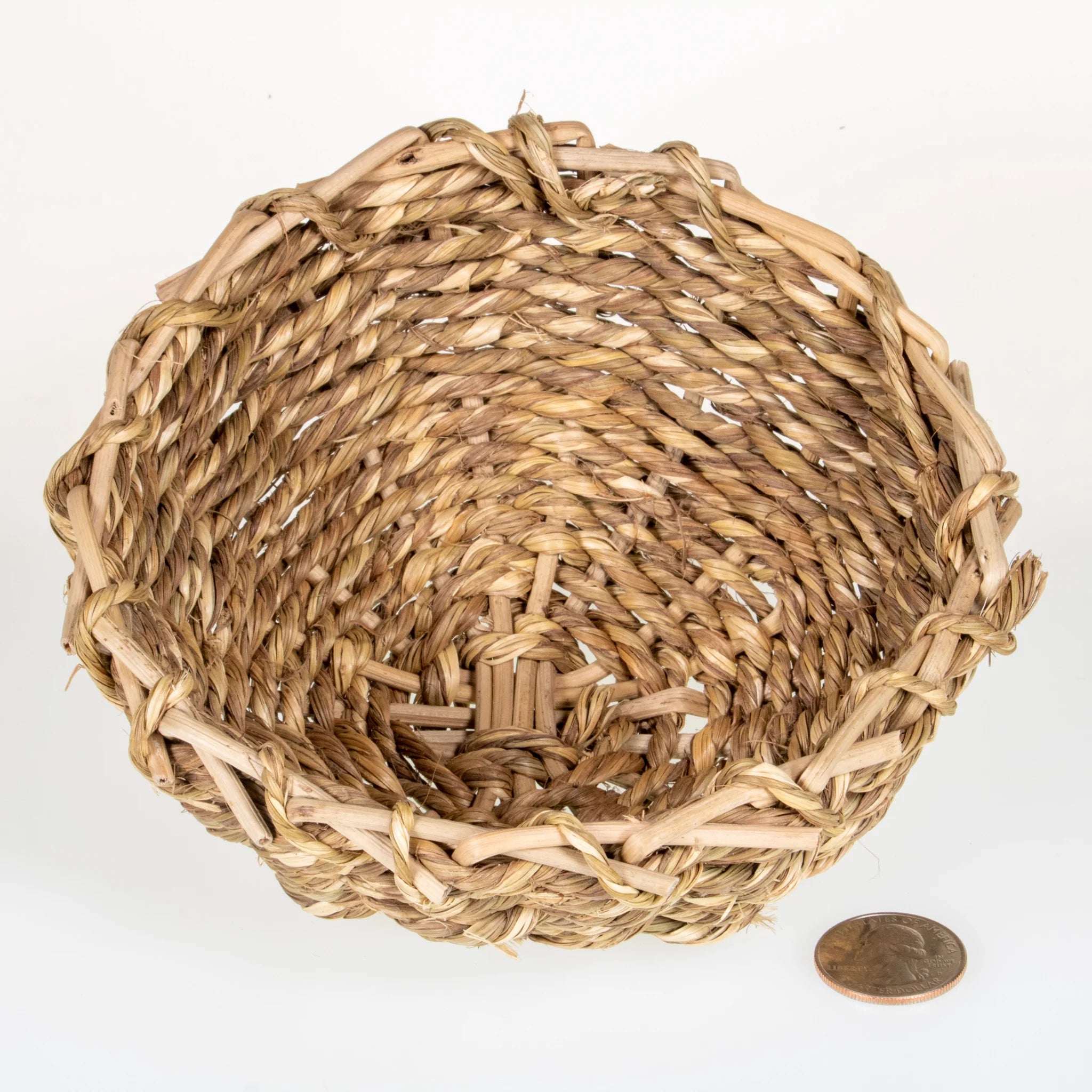 Binky Bunny Sea Grass Bowl