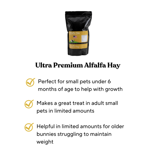 Ultra Premium Alfalfa Hay Benefits