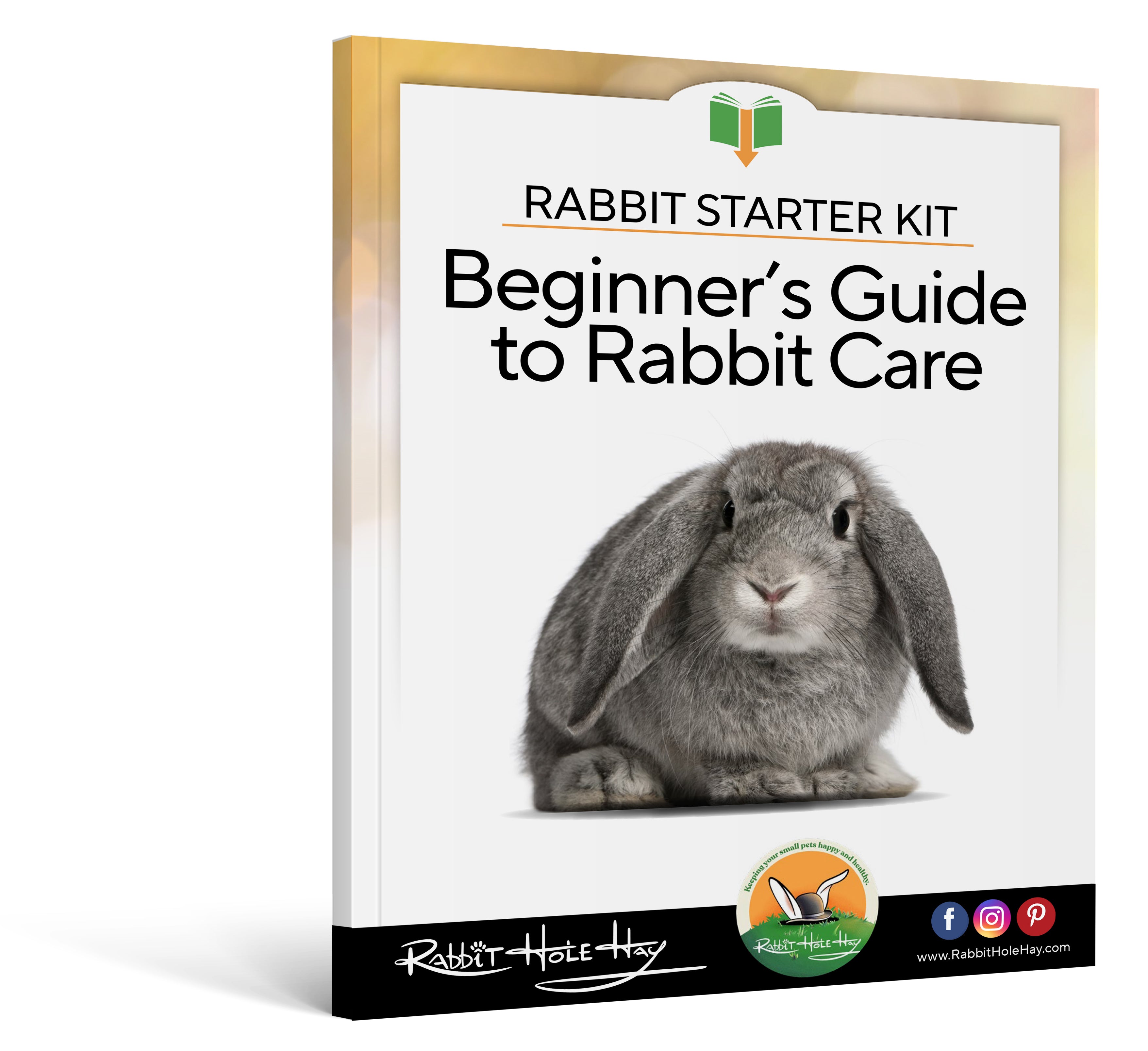 The Basics About Rabbit Care – Rabbit Hole Hay