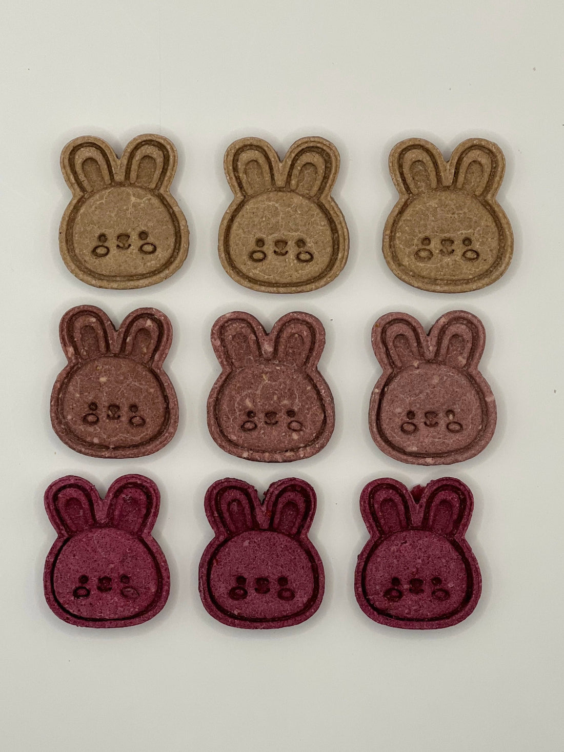Fluffy Bun Confections Colorful Bunnies