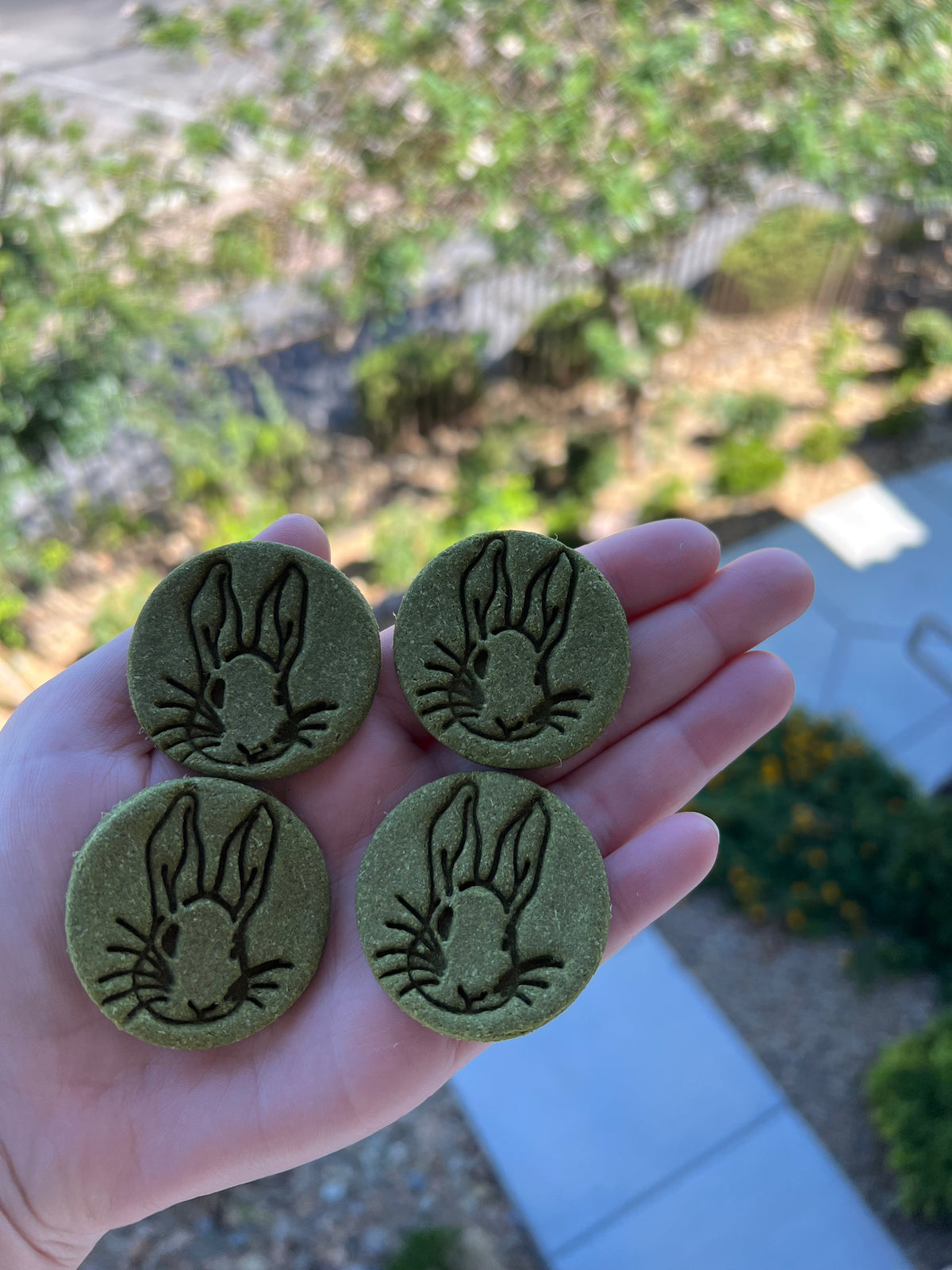 Fluffy Bun Confections Cilantro Cookies