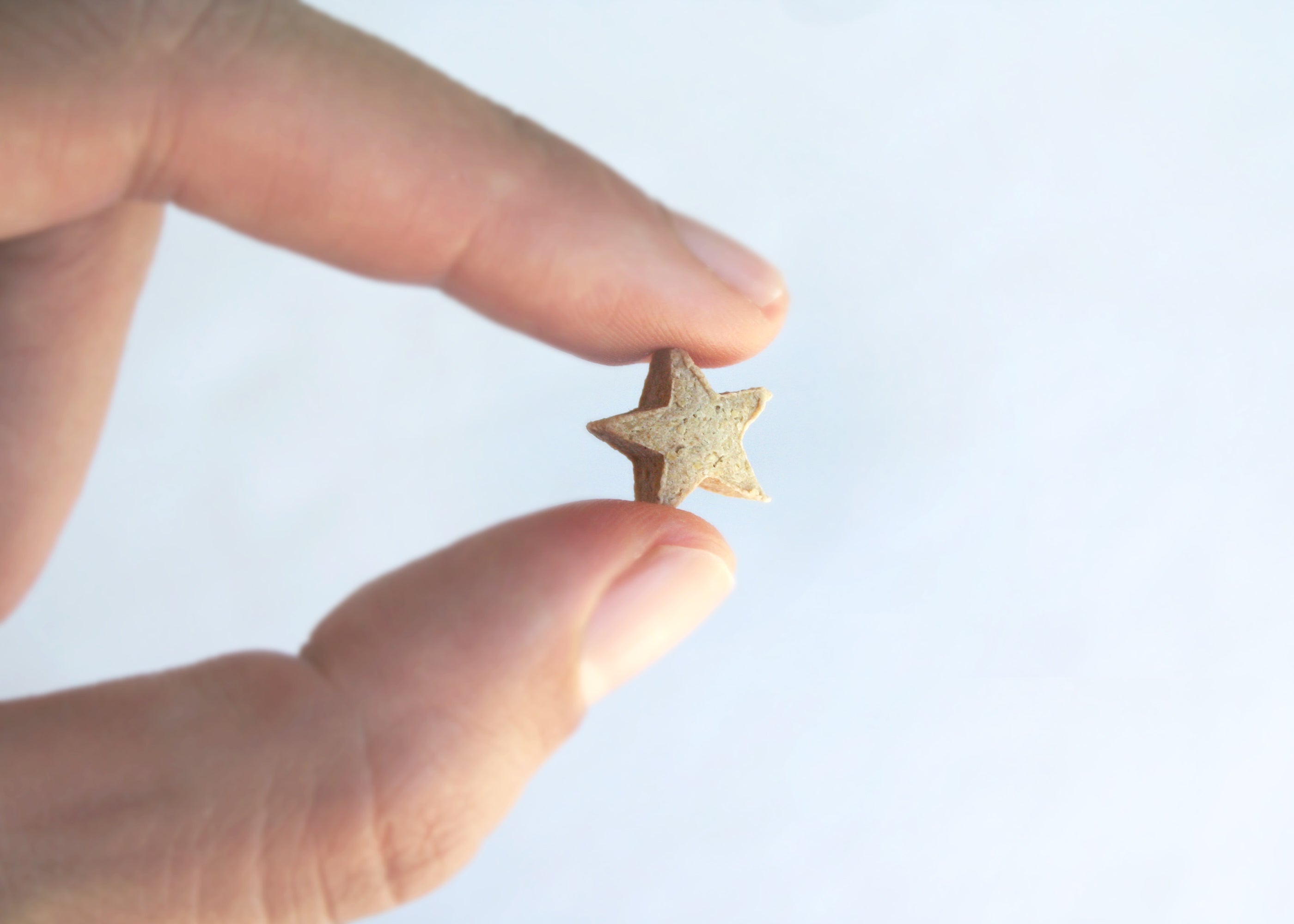 Fluffy Bun Confections Twinkle Little Stars Refill