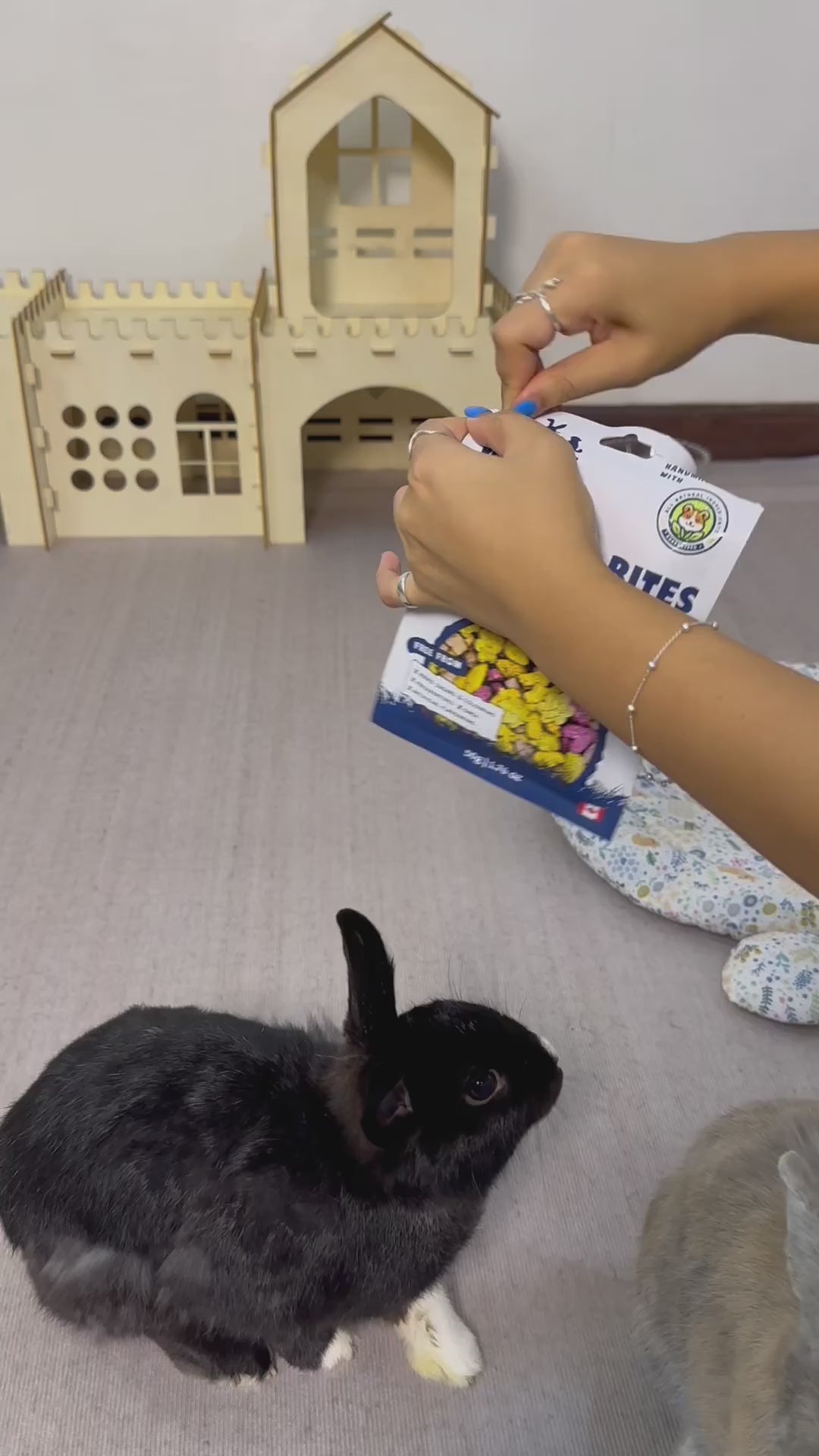 Two small pets sharing Nature’s Bites crunchy treats