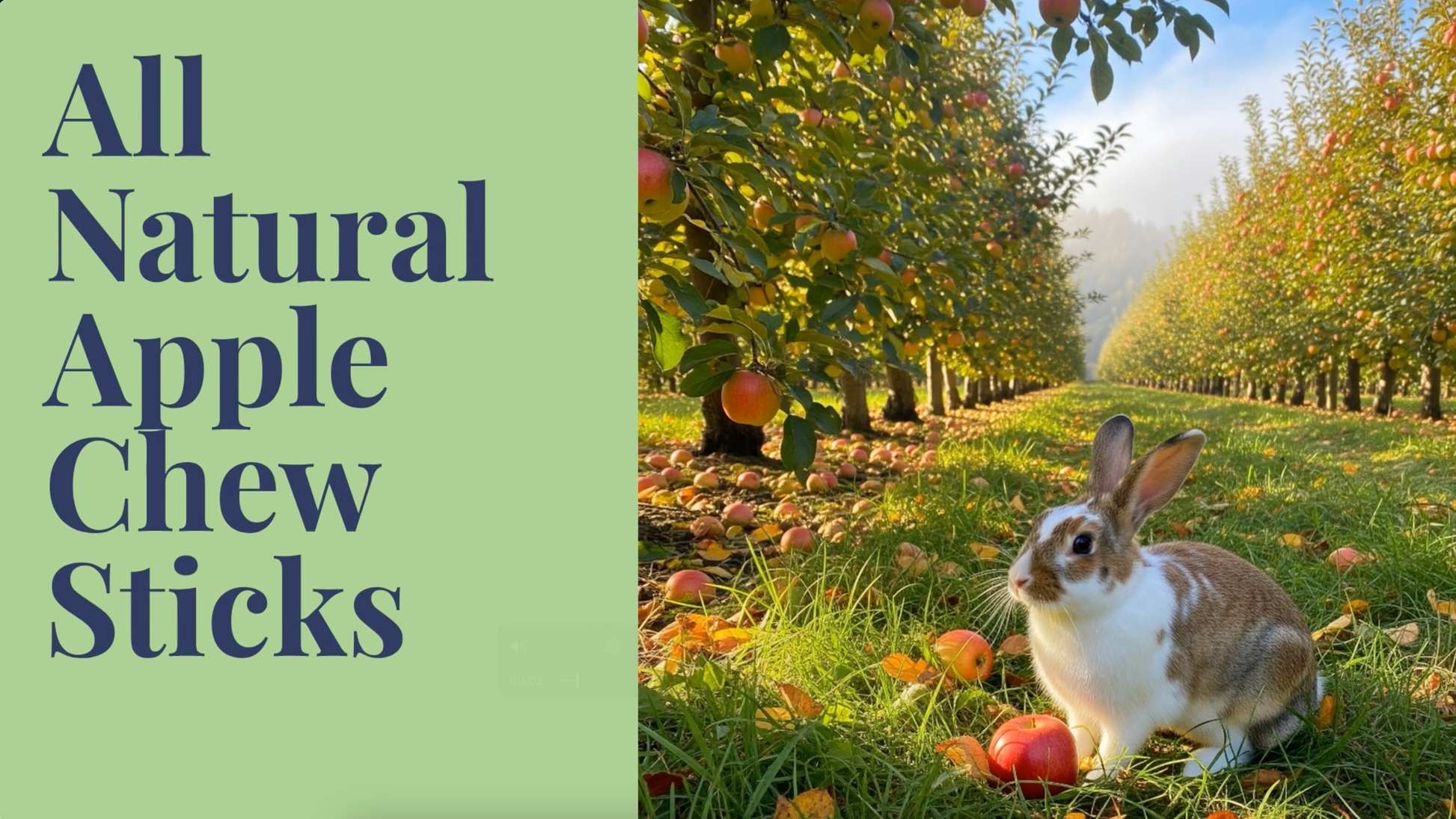 Video of Apple Chew Sticks