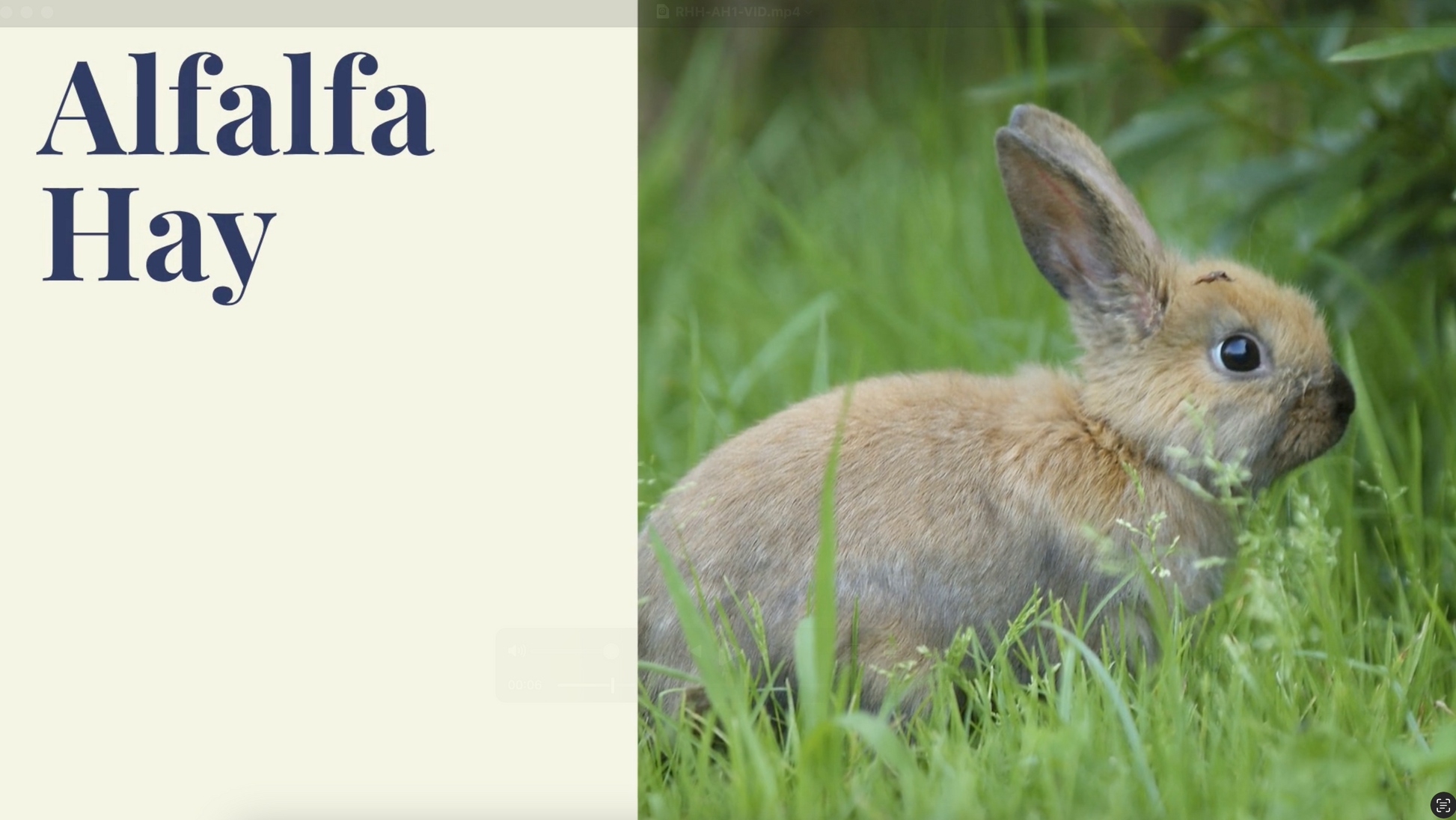Alfalfa Video