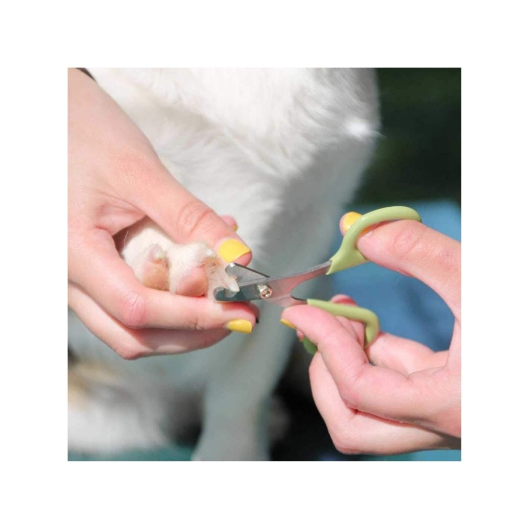 Safari Stainless Steel Nail Trimmer for Dogs - top view with quick guard for safe trimming